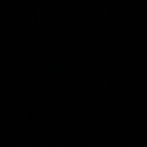 Meet your Posher, Sami